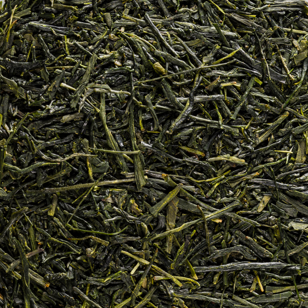 Ciemnozielone liście japońskiej herbaty Gyokuro KANGITEN