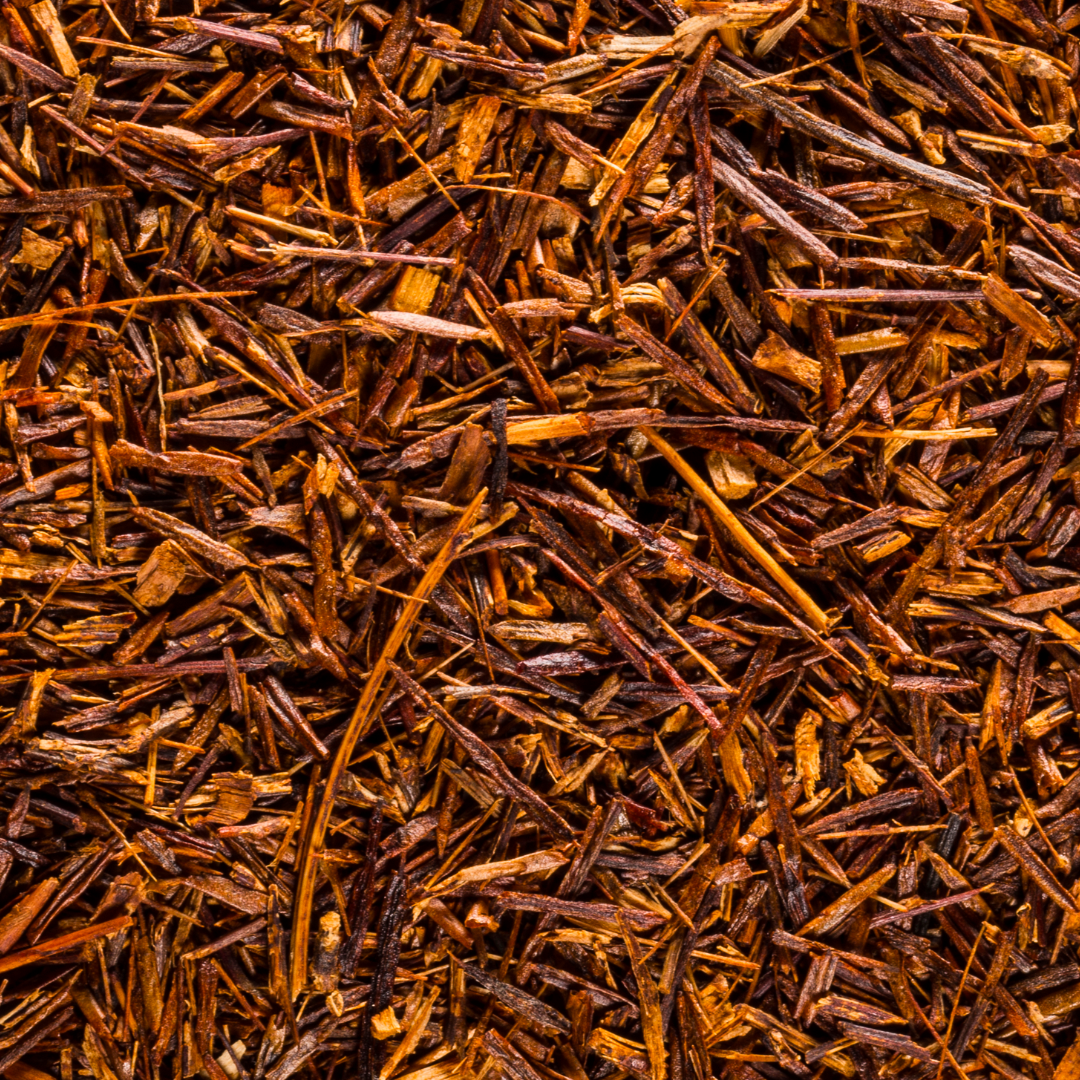 THE AMBER BLESSING - rooibos bio