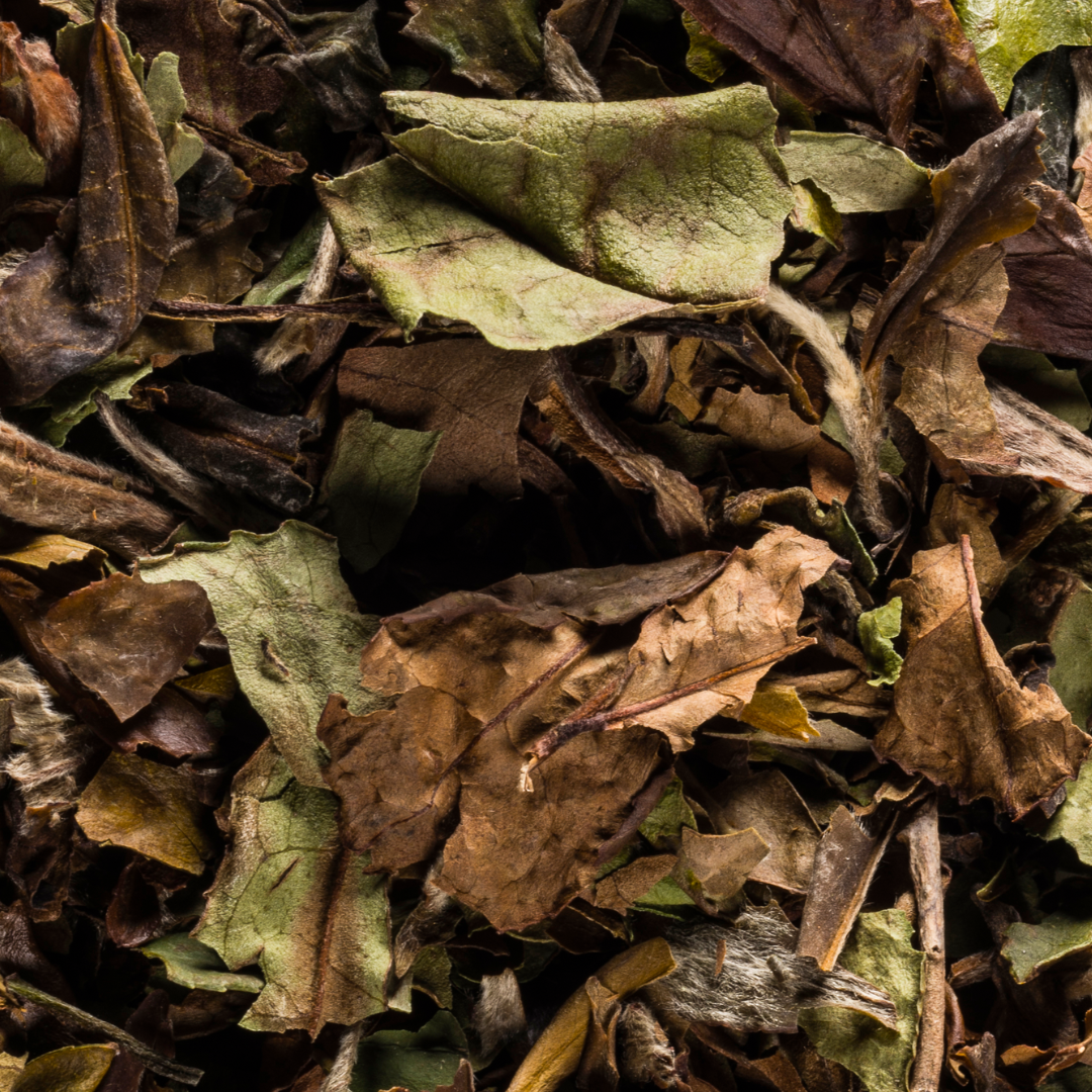 THE MISTY PEAKS - biała herbata bio - PAI MU TAN